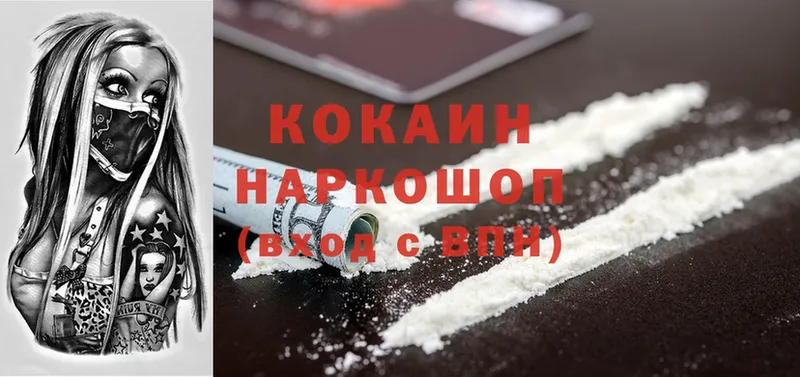 Cocaine Fish Scale  где продают   Новороссийск 